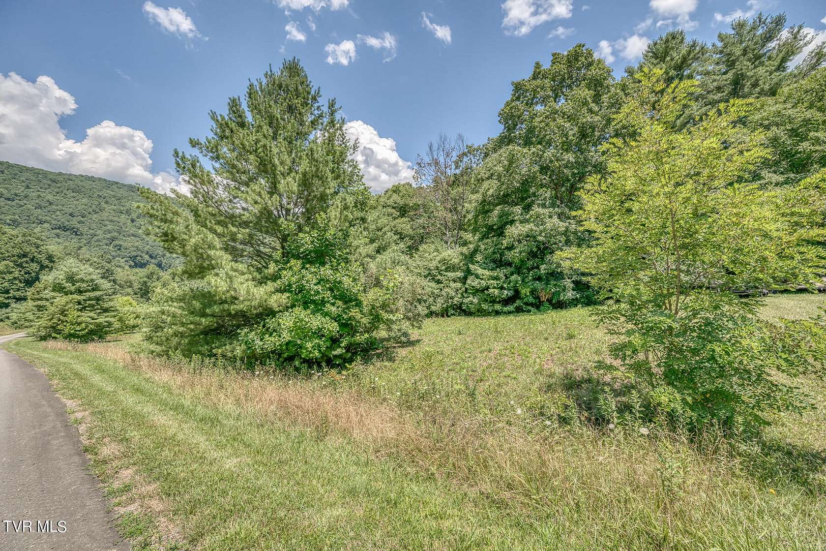 5.68 Acres of Residential Land for Sale in Butler, Tennessee