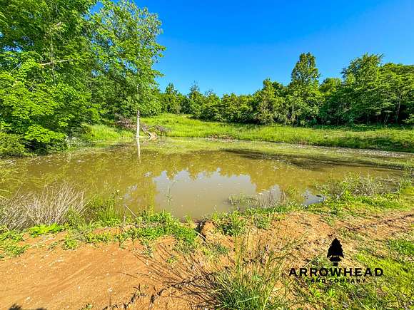 52 Acres of Recreational Land & Farm for Sale in Malta, Ohio