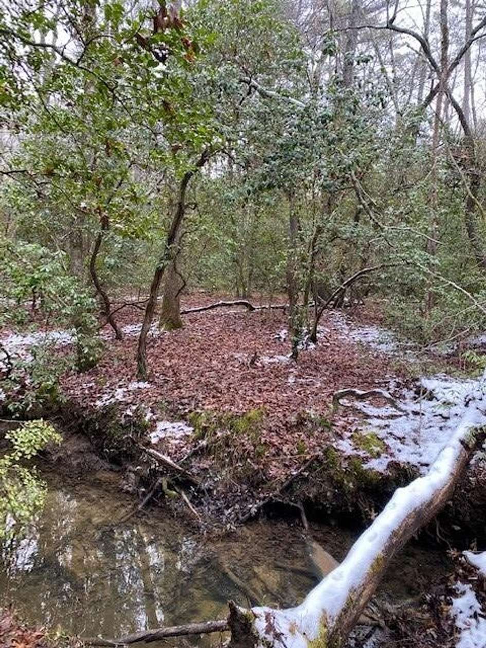 5 Acres of Recreational Land for Sale in Gruetli-Laager, Tennessee