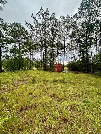 0.5 Acres of Residential Land for Sale in Carriere, Mississippi