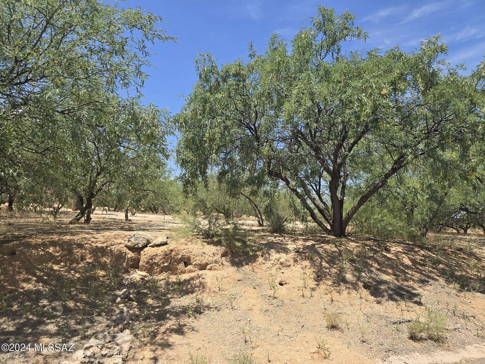 0.26 Acres of Residential Land for Sale in Benson, Arizona