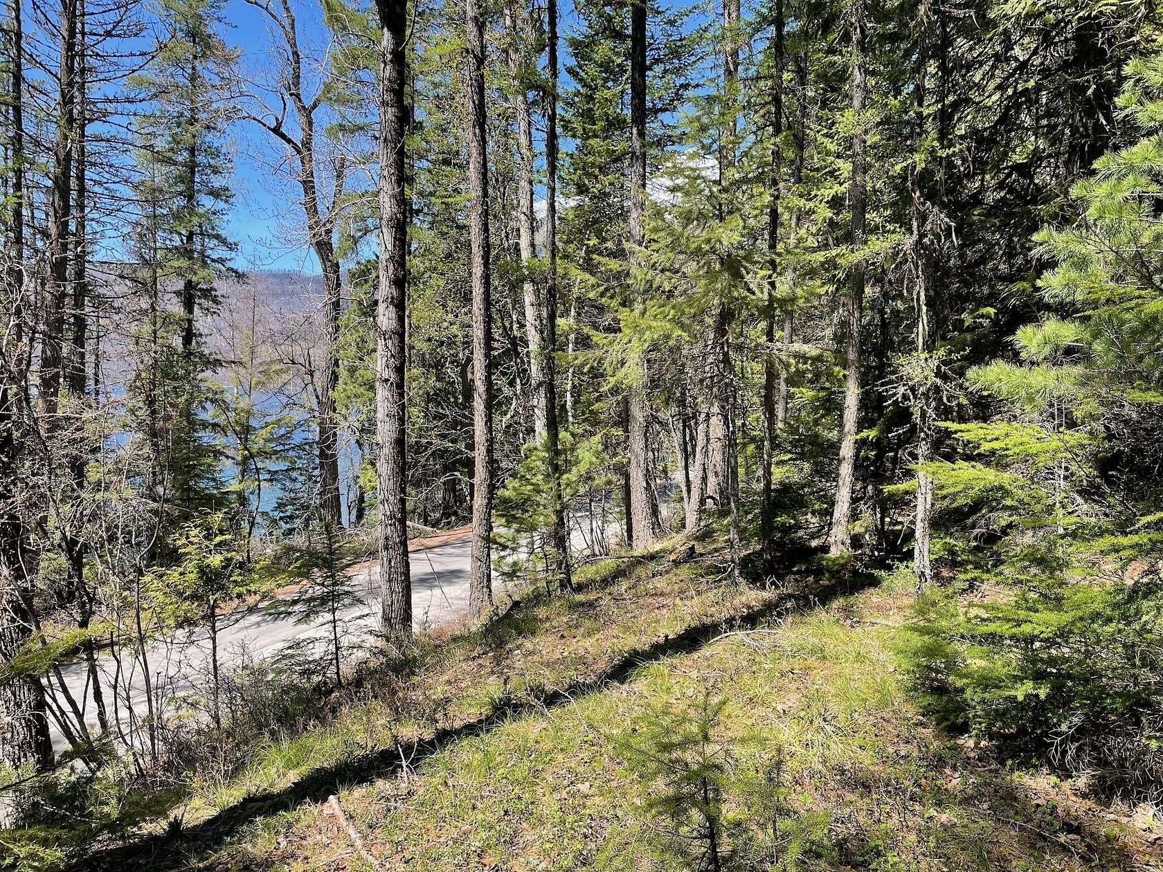 0.04 Acres of Residential Land for Sale in West Glacier, Montana