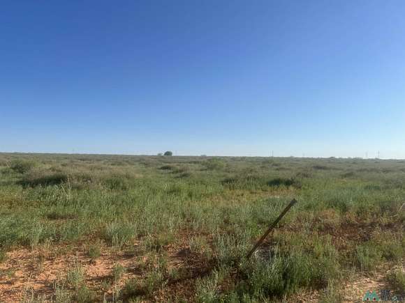 20.242 Acres of Land for Sale in Portales, New Mexico