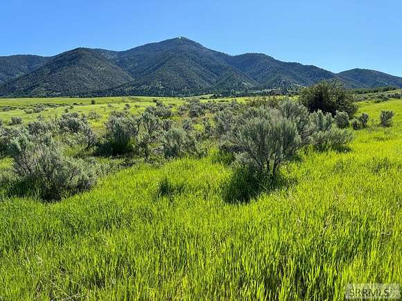 4.888 Acres of Residential Land for Sale in Swan Valley, Idaho