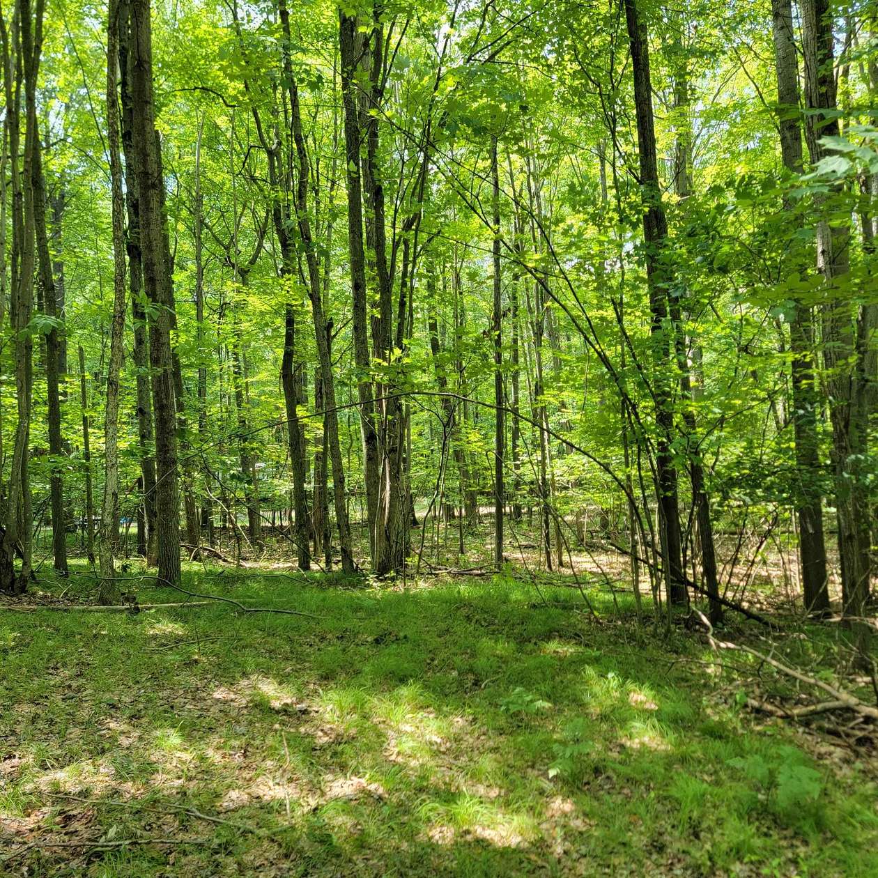 0.78 Acres of Land for Sale in Farwell, Michigan - LandSearch