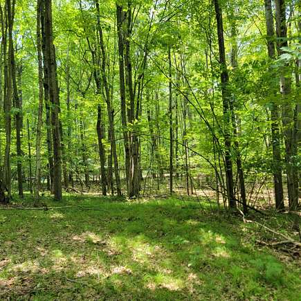 0.78 Acres of Land for Sale in Farwell, Michigan