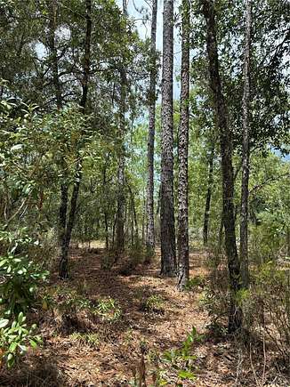 1.25 Acres of Residential Land for Sale in Williston, Florida