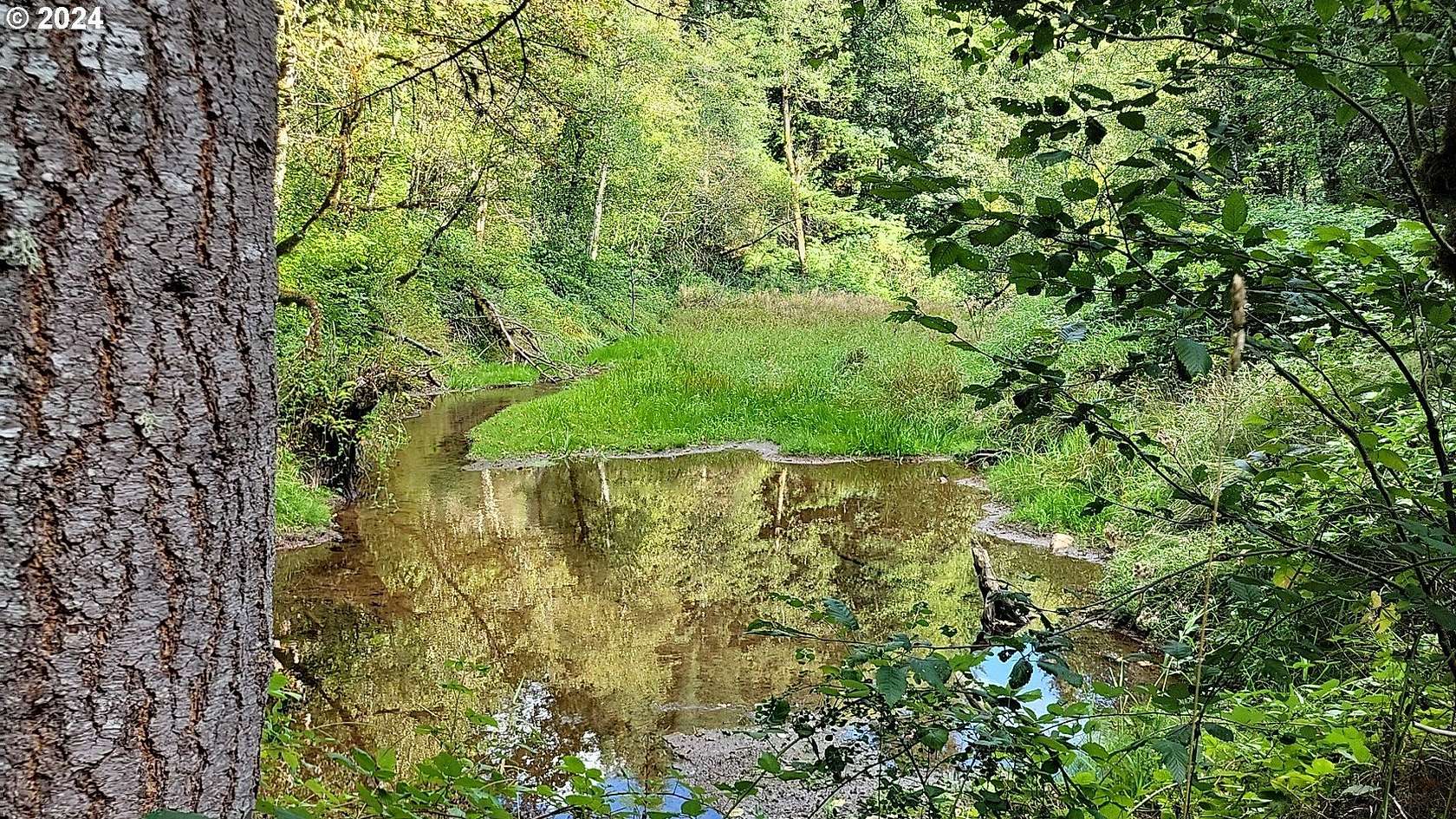 87.8 Acres of Recreational & Residential Land for Sale in Corbett, Oregon