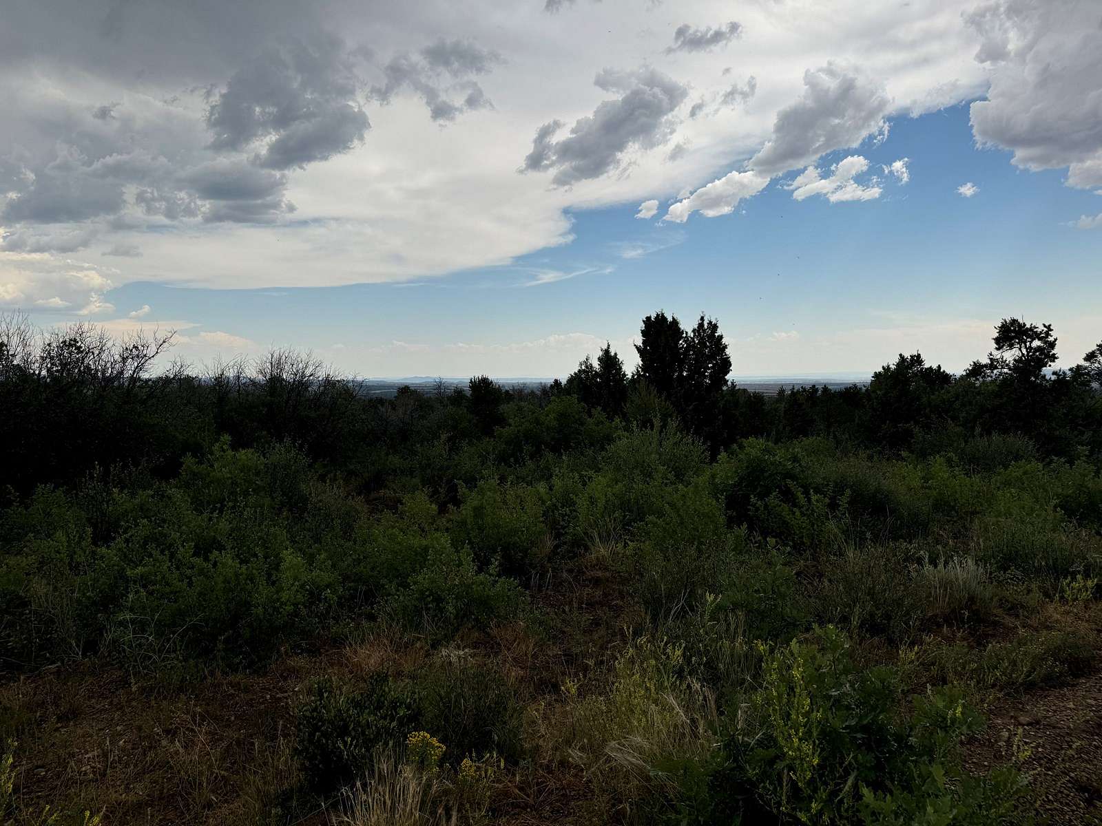 36.4 Acres of Land for Sale in Hesperus, Colorado