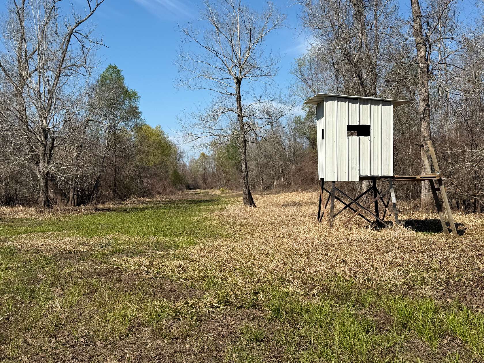 826 Acres of Land for Sale in Port Barre, Louisiana