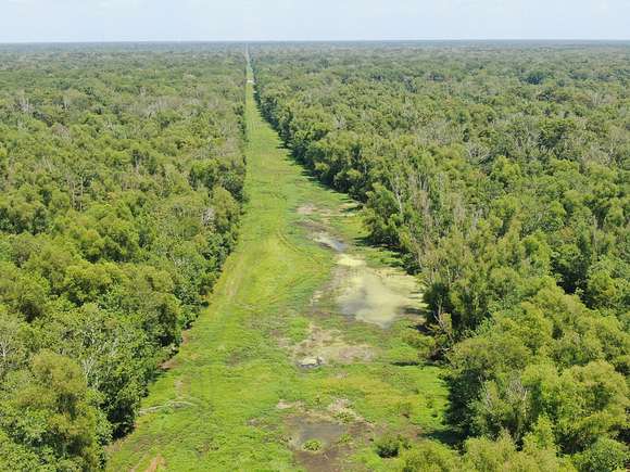 826 Acres of Land for Sale in Port Barre, Louisiana