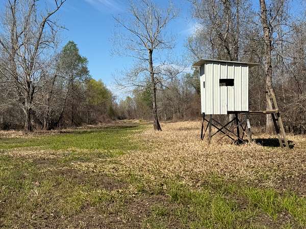 826 Acres of Land for Sale in Port Barre, Louisiana