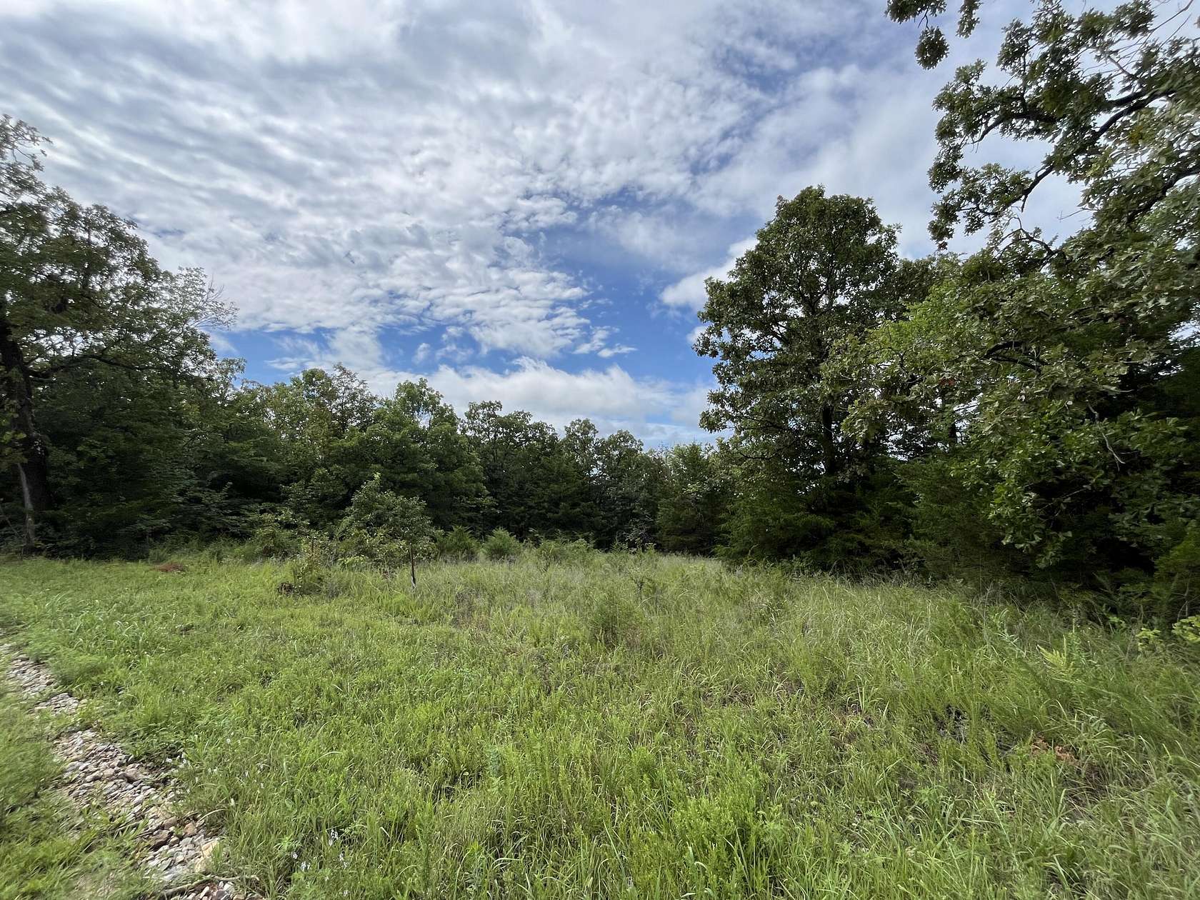 15 Acres of Land for Sale in Theodosia, Missouri