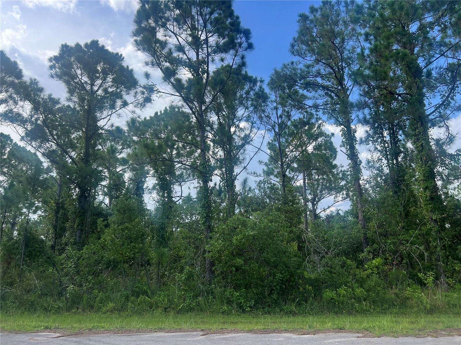 0.31 Acres of Residential Land for Sale in Sebring, Florida