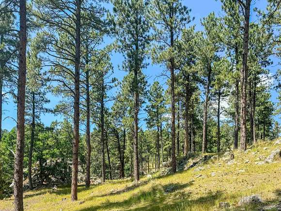 1 Acre of Residential Land for Sale in Keystone, South Dakota