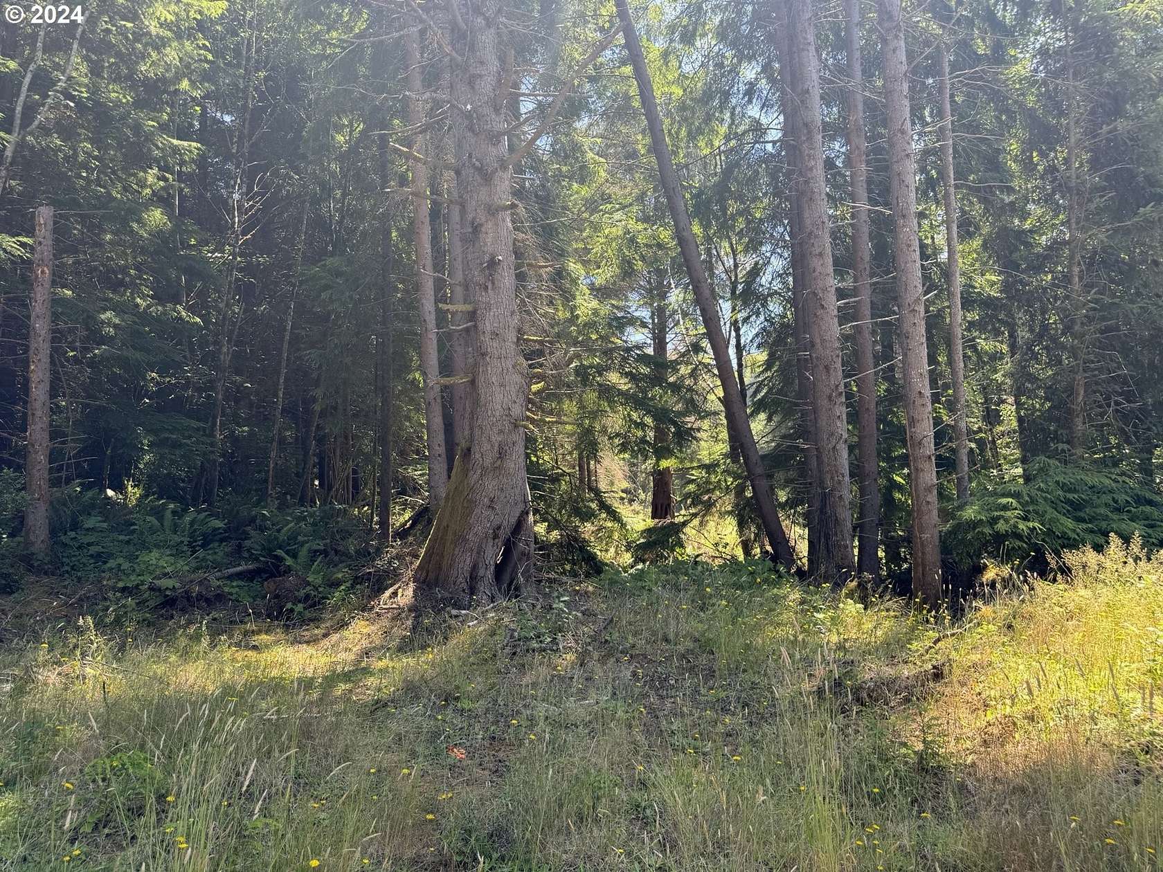 2.05 Acres of Residential Land for Sale in North Bend, Oregon