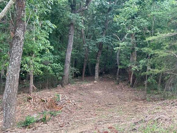 2 Acres of Residential Land for Sale in Lookout Mountain, Georgia