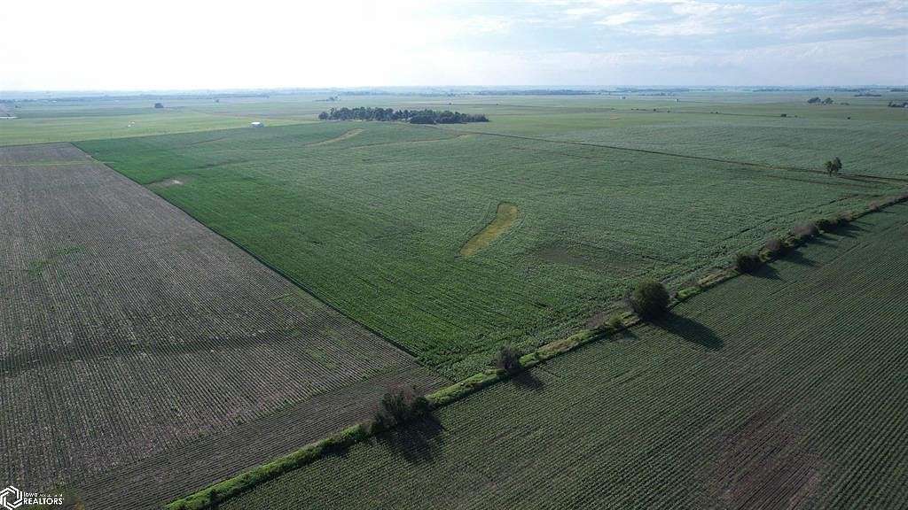 161.64 Acres of Agricultural Land for Sale in Colo, Iowa