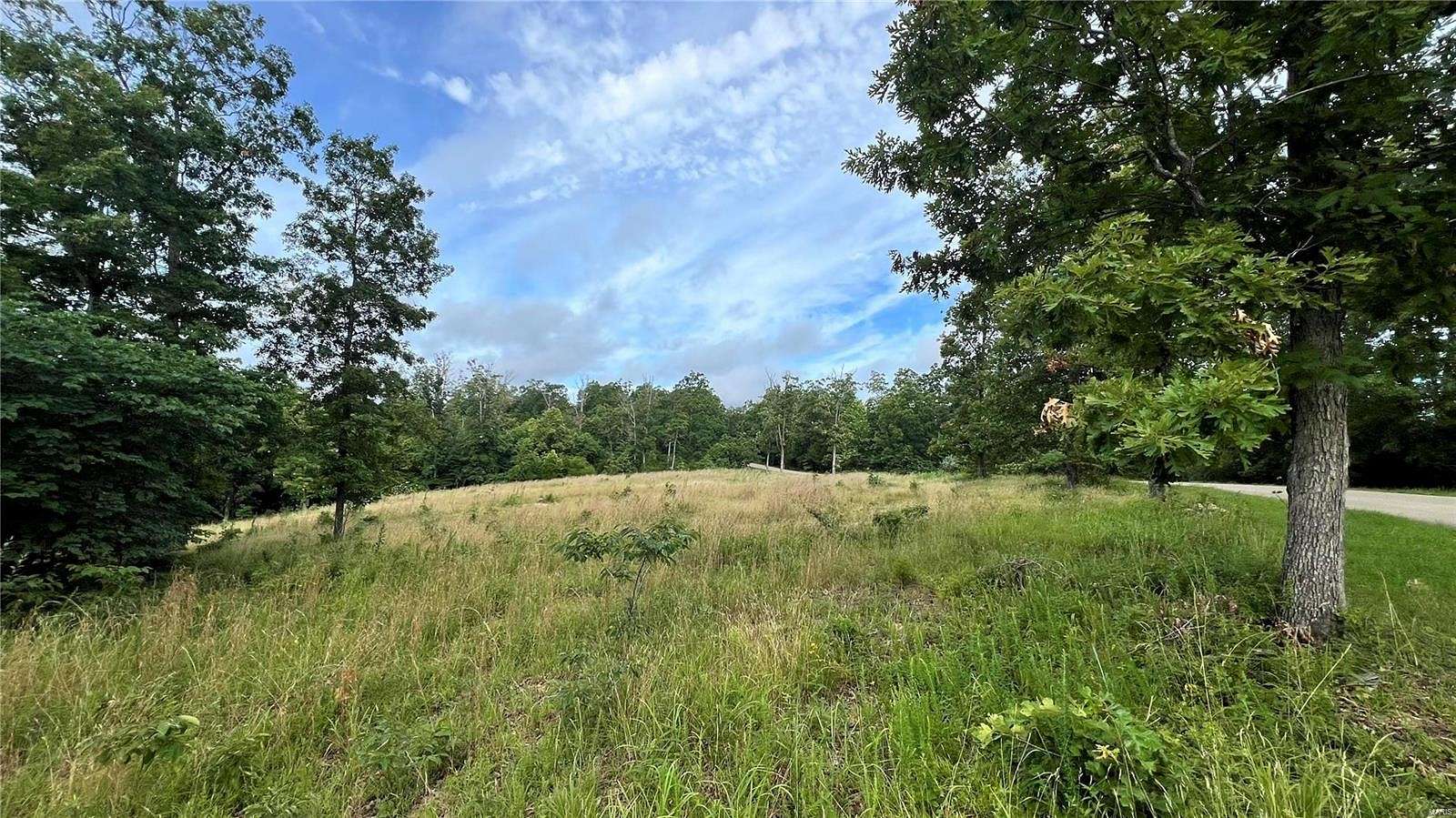 8.28 Acres of Land for Sale in Fredericktown, Missouri