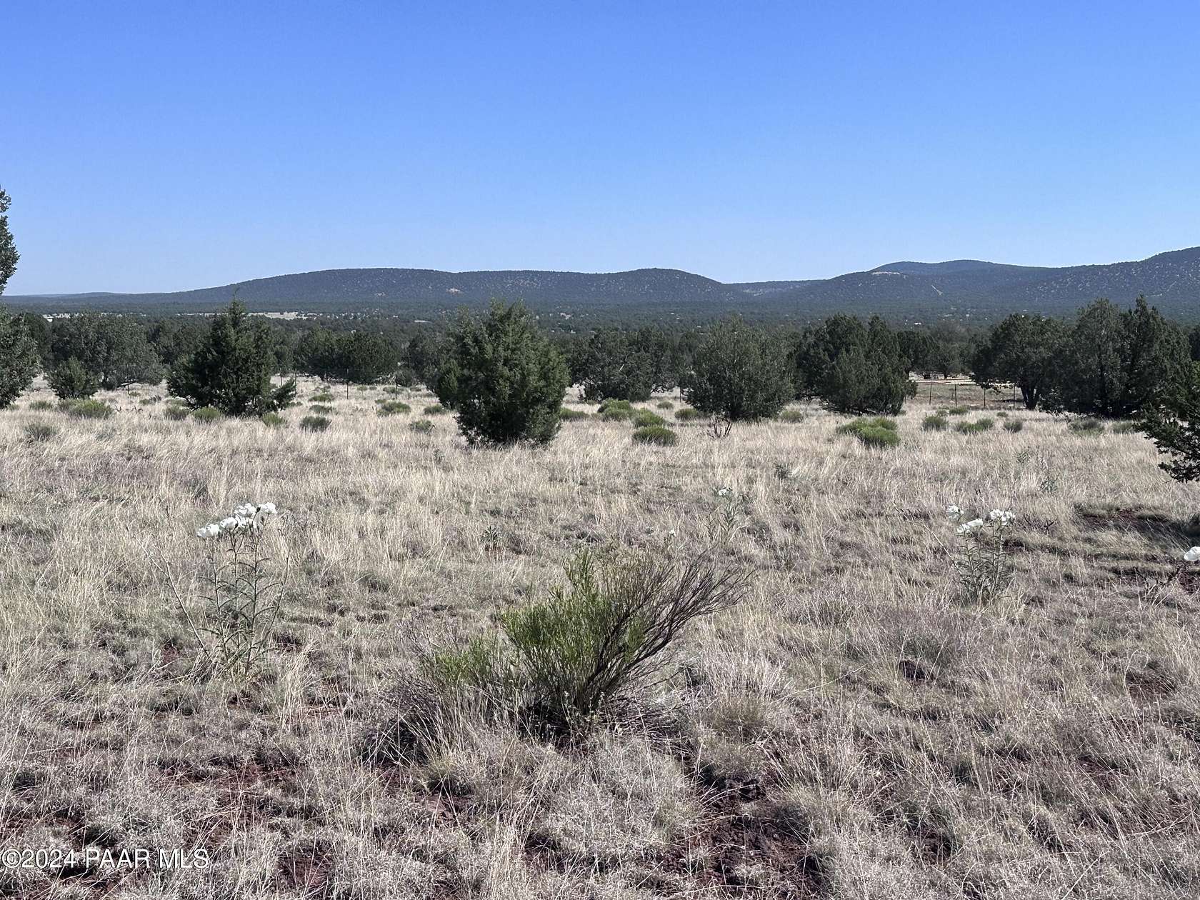 2.27 Acres of Residential Land for Sale in Williams, Arizona