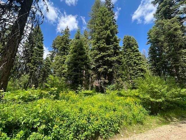 1 Acre of Residential Land for Sale in Donnelly, Idaho