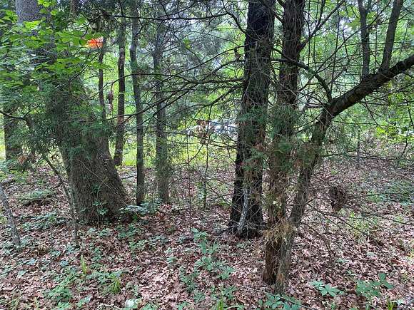 0.14 Acres of Residential Land for Sale in Log Cabin, Texas