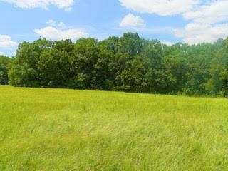 160 Acres of Recreational Land for Sale in Mound City, Kansas