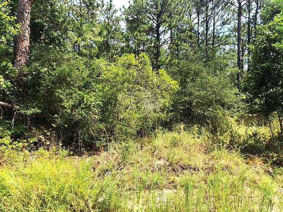0.26 Acres of Residential Land for Sale in Brookeland, Texas