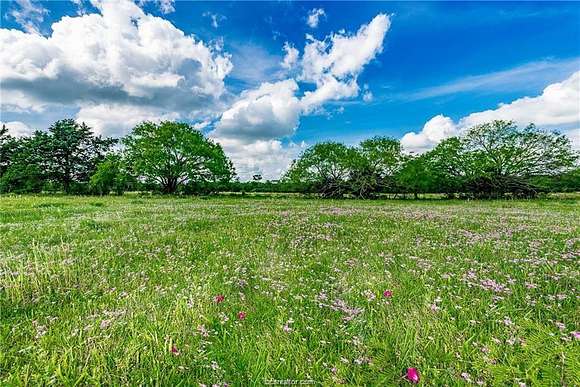 34.14 Acres of Recreational Land for Sale in North Zulch, Texas