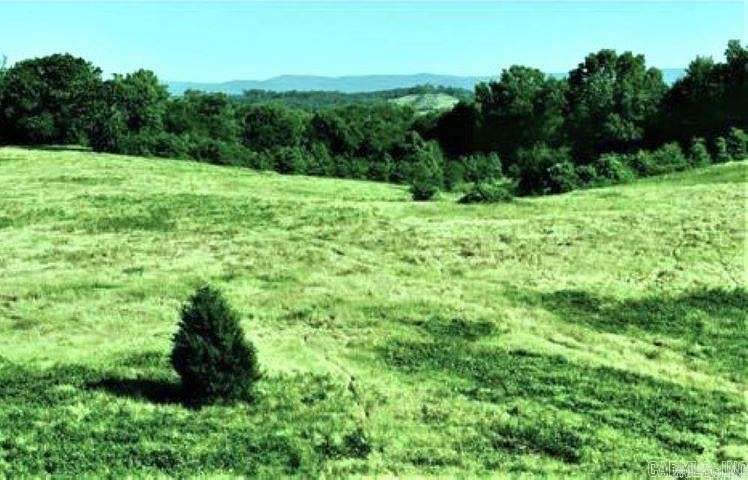 9.53 Acres of Residential Land for Sale in Oden, Arkansas