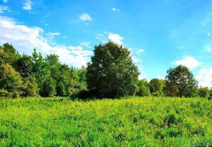 9.53 Acres of Residential Land for Sale in Oden, Arkansas