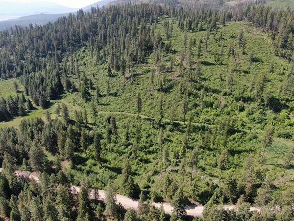 64.6 Acres of Recreational Land for Sale in Kettle Falls, Washington