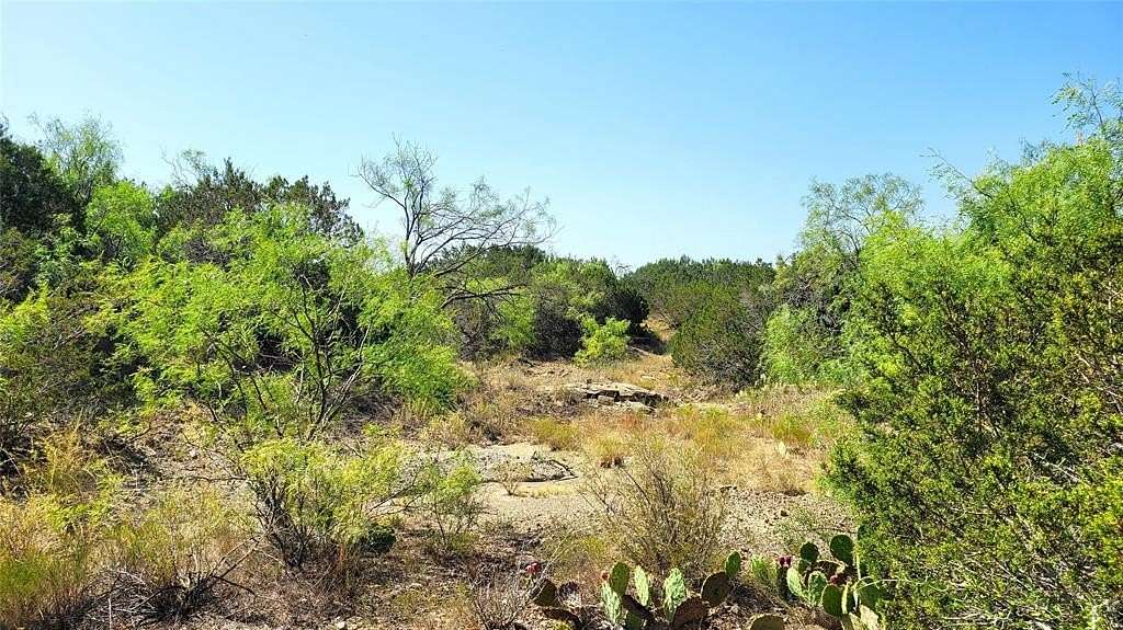 313.33 Acres of Recreational Land & Farm for Sale in Bangs, Texas