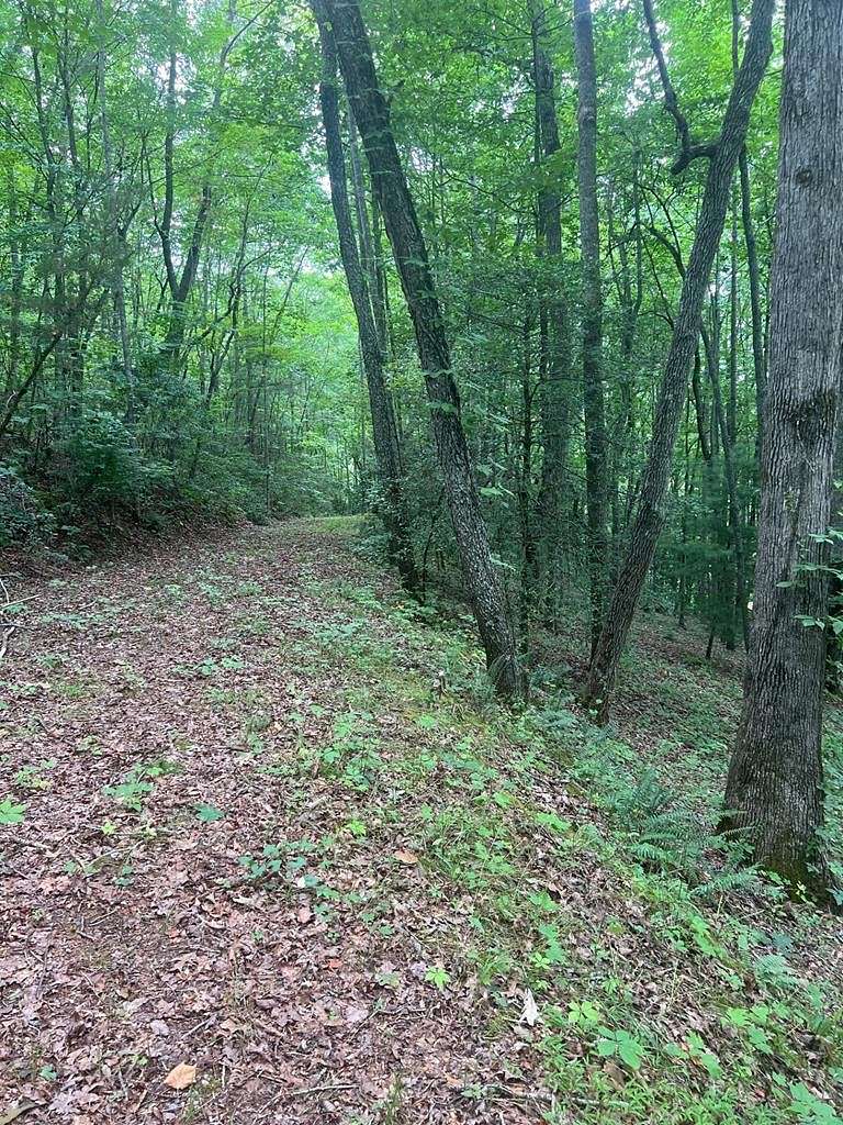 0.69 Acres of Residential Land for Sale in Franklin, North Carolina