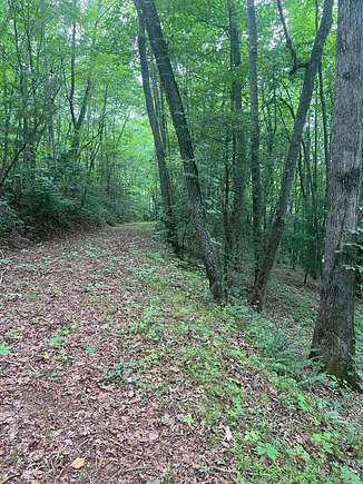 0.69 Acres of Residential Land for Sale in Franklin, North Carolina