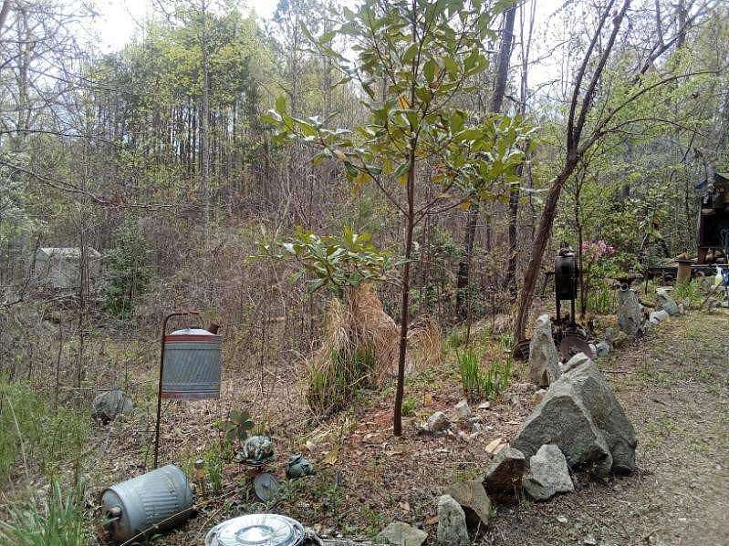 1.41 Acres of Land for Sale in Mountain Rest, South Carolina