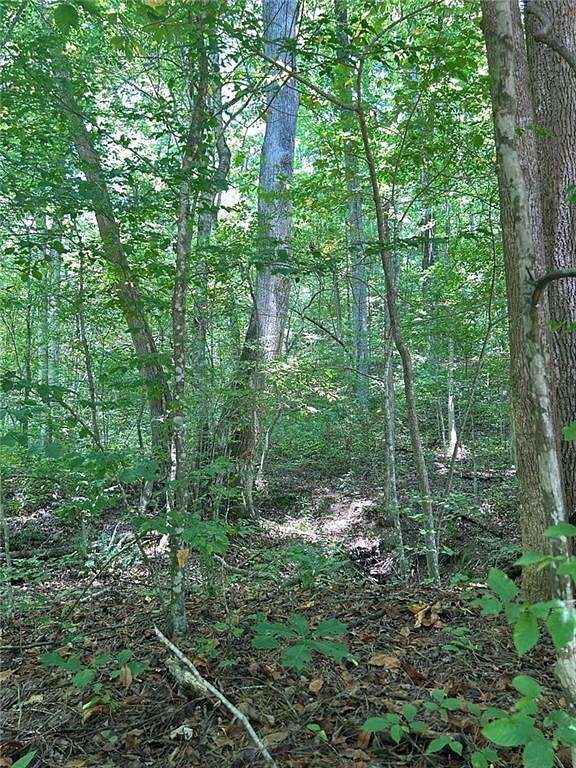 3.53 Acres of Residential Land for Sale in Fairmount, Georgia