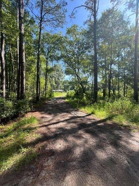 7.63 Acres of Residential Land with Home for Sale in Townsend, Georgia