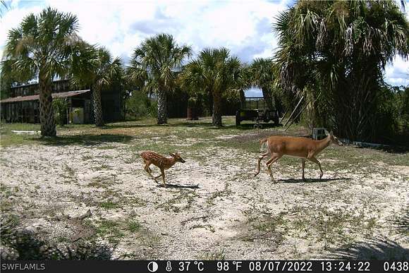 4.6 Acres of Land for Sale in Punta Gorda, Florida