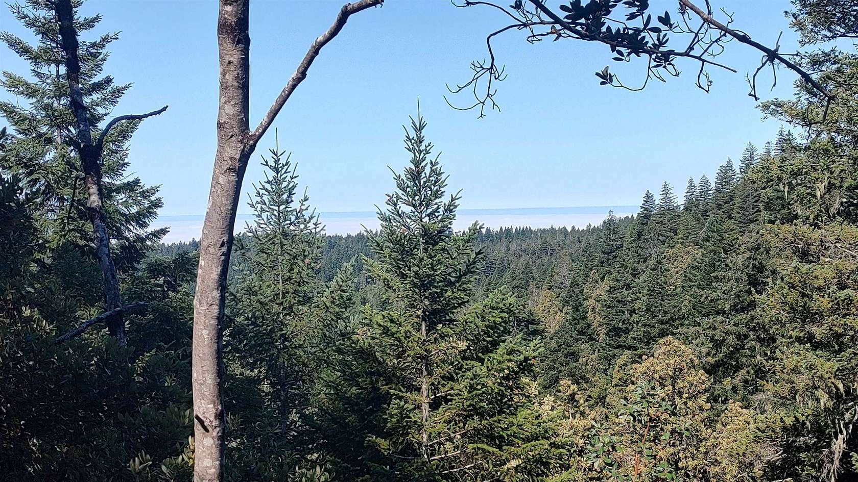 42 Acres of Recreational Land for Sale in Hiouchi, California
