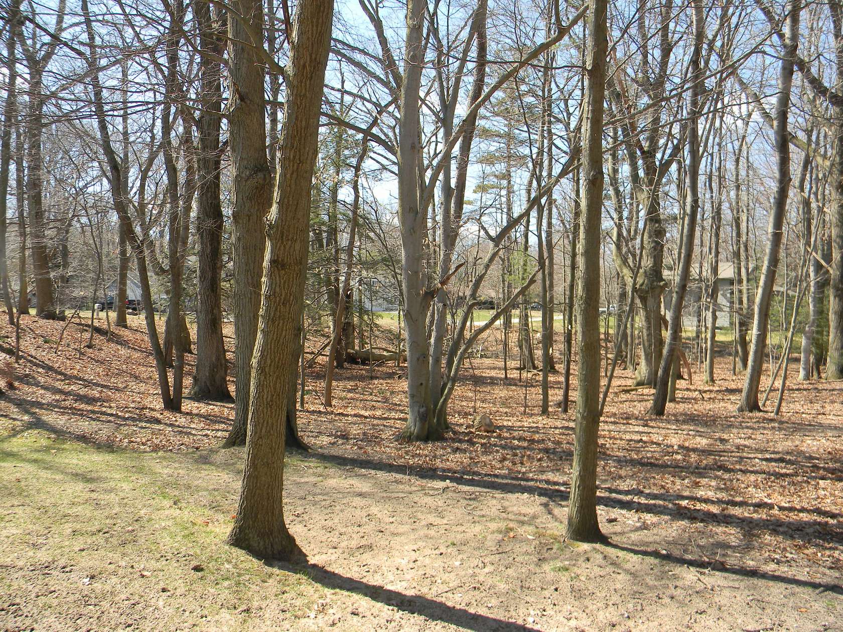 0.35 Acres of Residential Land for Sale in Ludington, Michigan