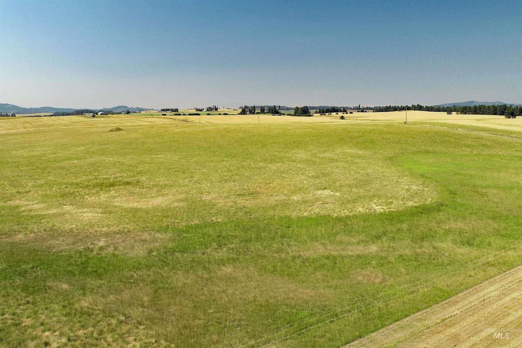 20.1 Acres of Land for Sale in Orofino, Idaho