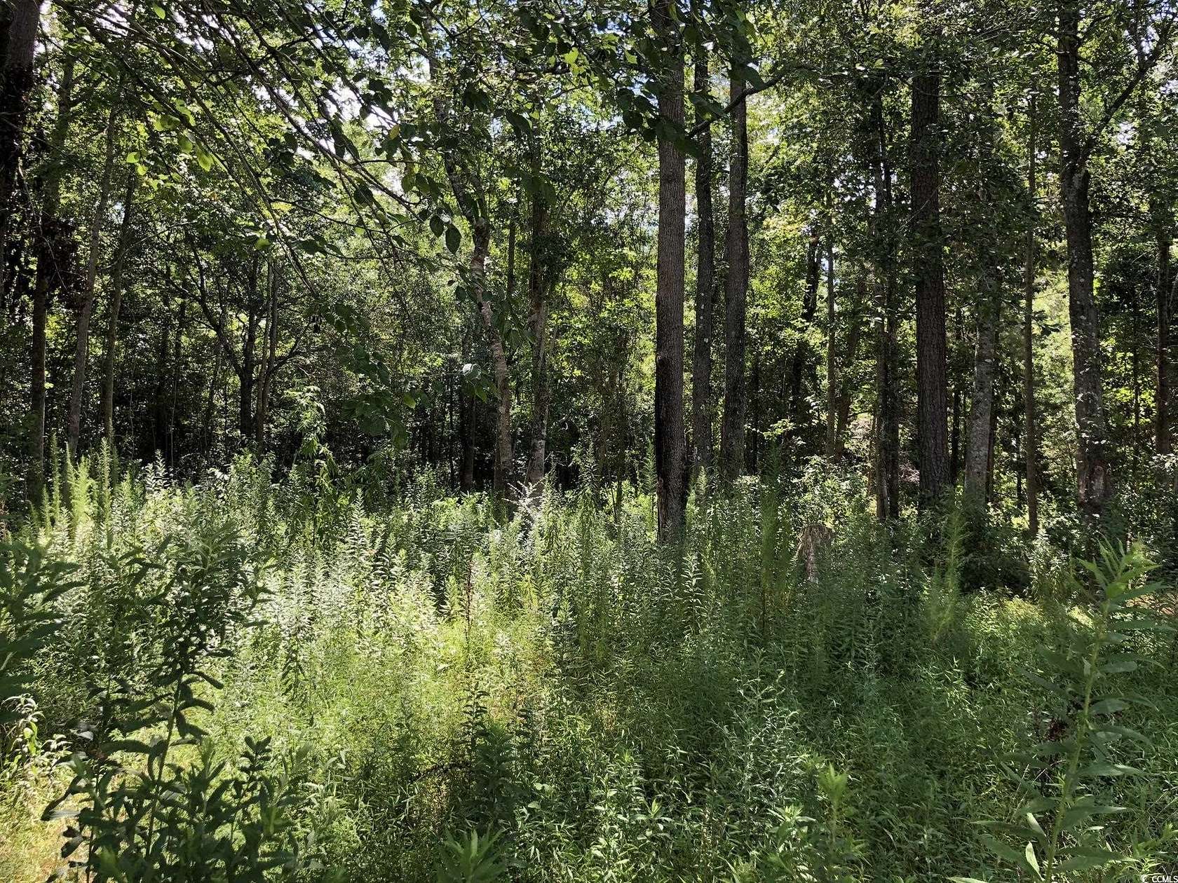 0.5 Acres of Residential Land for Sale in Loris, South Carolina