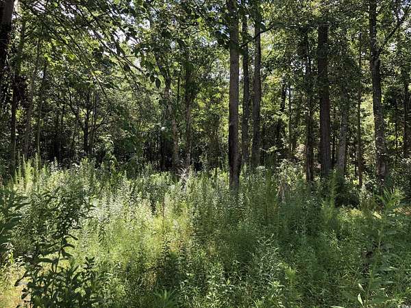 0.5 Acres of Residential Land for Sale in Loris, South Carolina