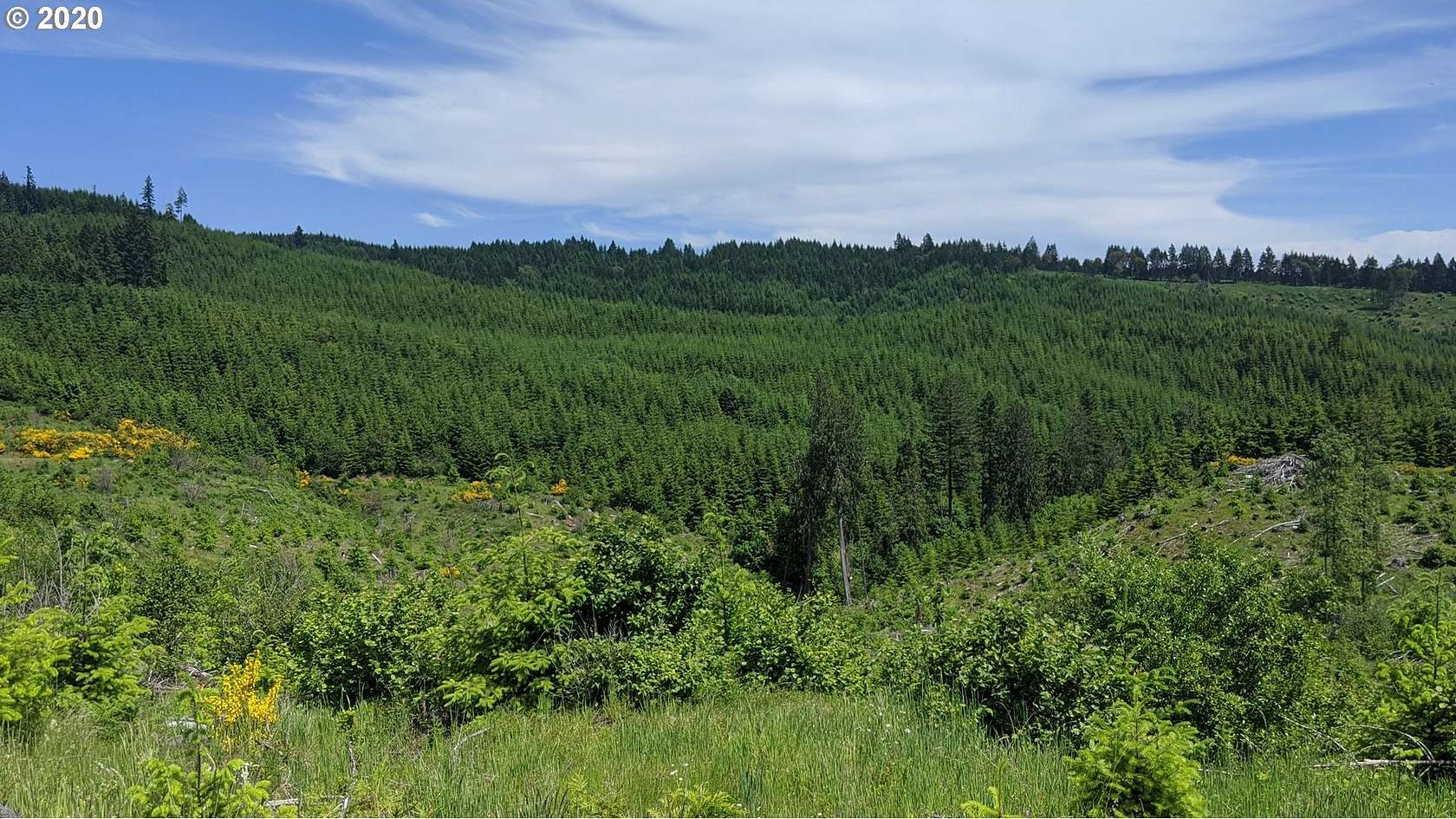 77.56 Acres of Recreational Land for Sale in Forest Grove, Oregon