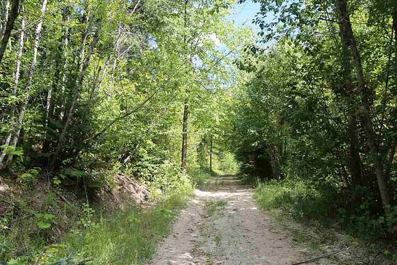 10 Acres of Recreational Land for Sale in Chattaroy, Washington