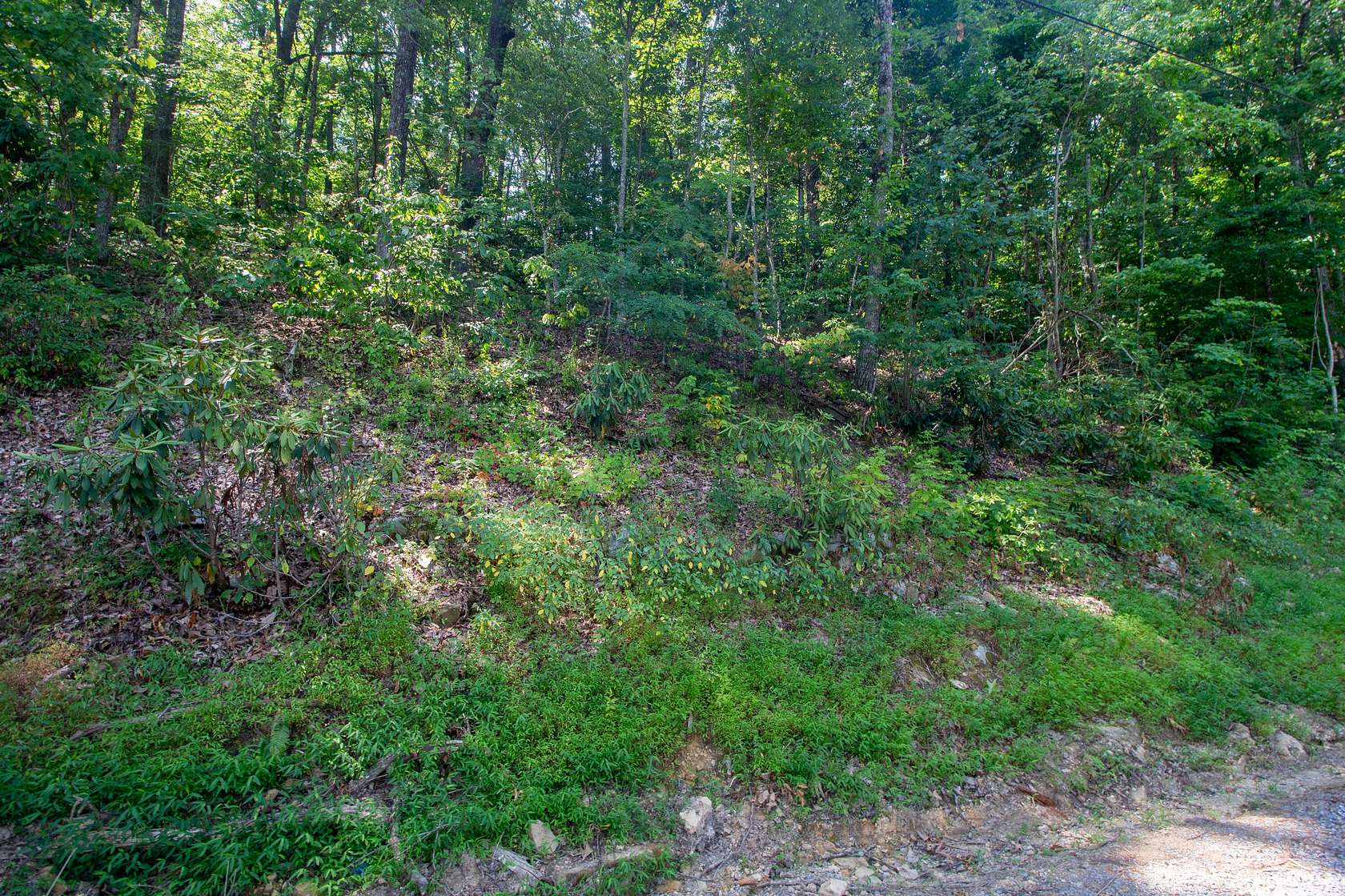 0.8 Acres of Residential Land for Sale in Sevierville, Tennessee
