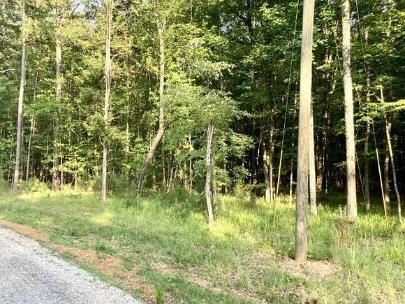 1.24 Acres of Land for Sale in Counce, Tennessee