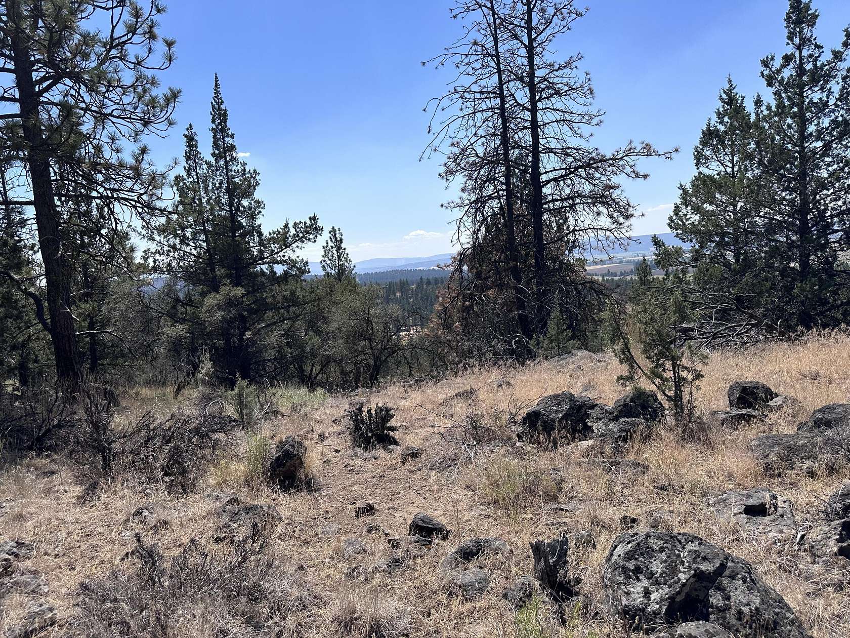 1.77 Acres of Residential Land for Sale in Bonanza, Oregon