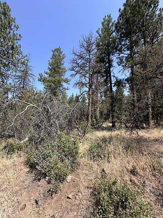 2.04 Acres of Residential Land for Sale in Bonanza, Oregon